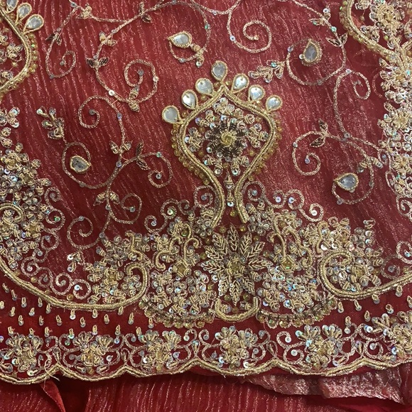 Lehenga Choli - Picture 6 of 14